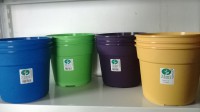 MACETA n°19 COLOR